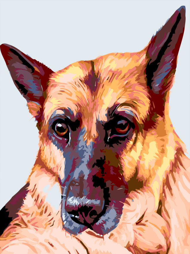 Raqamlar bo&amp;#039;yicha rasm &amp;quot;Nemis ovcharkasi&amp;quot;