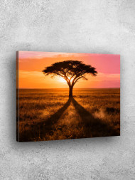 Постер на холсте &amp;quot;Дерево в саванне на закате&amp;quot;