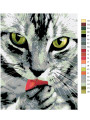 Картина по номерам &amp;quot;Котик лижет лапку&amp;quot;