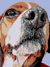 Raqamlar bo&#039;yicha rasm &quot;Kuchuk&quot;