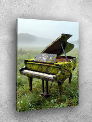 Постер на холсте &amp;quot;Рояль покрытый мхом в поле&amp;quot;
