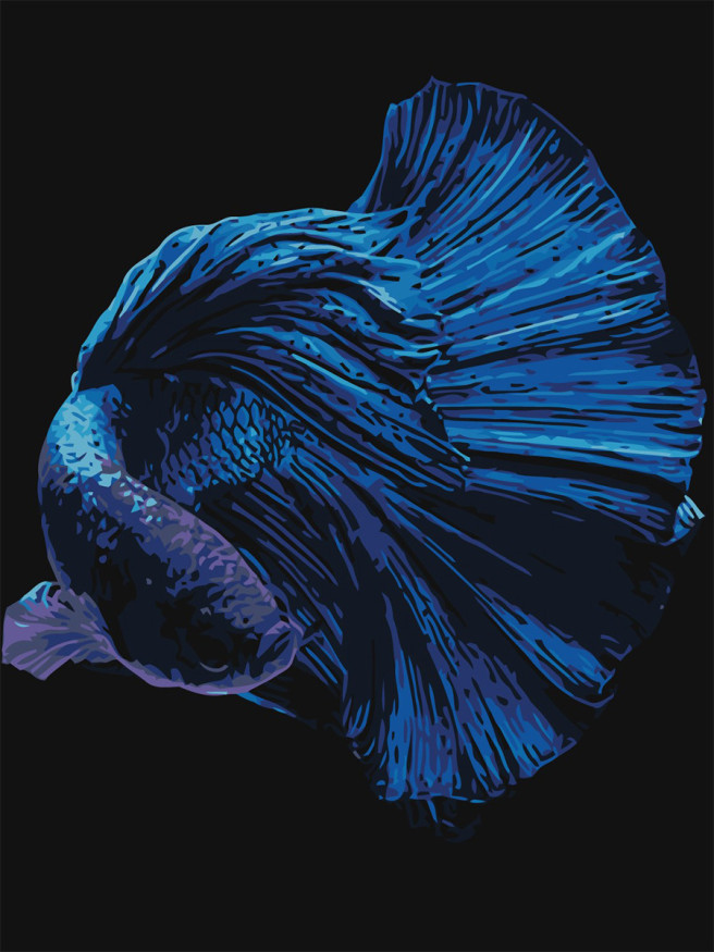 Raqamlar bo&amp;#039;yicha rasm &amp;quot;Katta dumi bilan baliq&amp;quot;