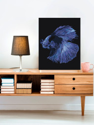 Raqamlar bo'yicha rasm "Chiroyli baliq"