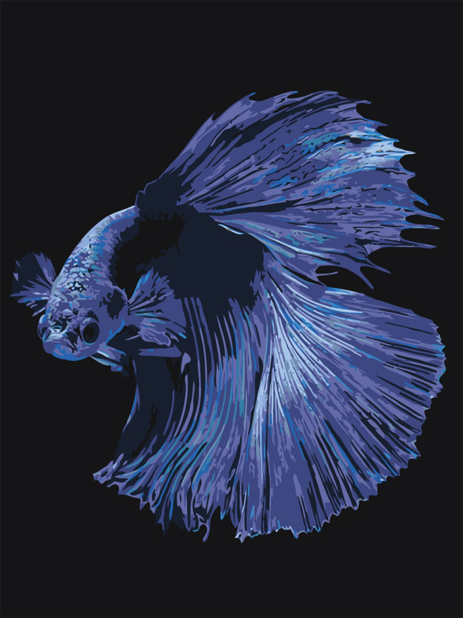 Raqamlar bo&amp;#039;yicha rasm &amp;quot;Chiroyli baliq&amp;quot;