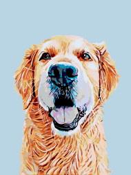 Raqamlar bo&#039;yicha rasm &quot;Kuchuk rasmi&quot;