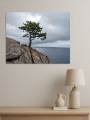 Holstga bosilgan poster &amp;quot;Qoyali sohilidagi shoxli daraxt&amp;quot;