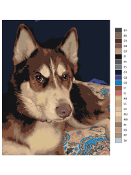 Raqamlar bo&#039;yicha rasm &quot;Husky&quot;