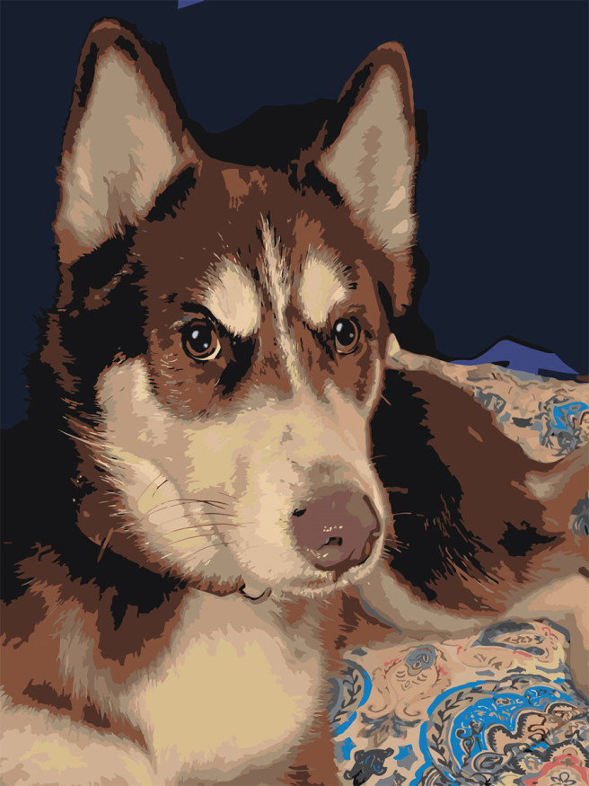 Raqamlar bo&amp;#039;yicha rasm &amp;quot;Husky&amp;quot;