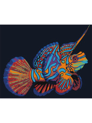 Raqamlar bo'yicha rasm "Chiroyli baliq"