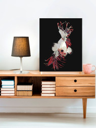 Raqamlar bo'yicha rasm "Qizil va oq baliq"