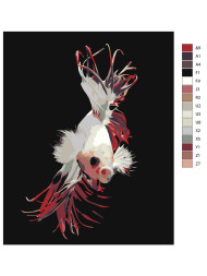 Raqamlar bo'yicha rasm "Qizil va oq baliq"