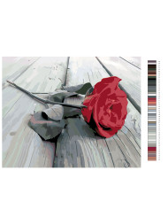 Raqamlar bo'yicha rasm "Rose"