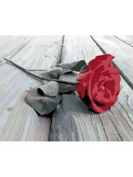 Raqamlar bo'yicha rasm "Rose"