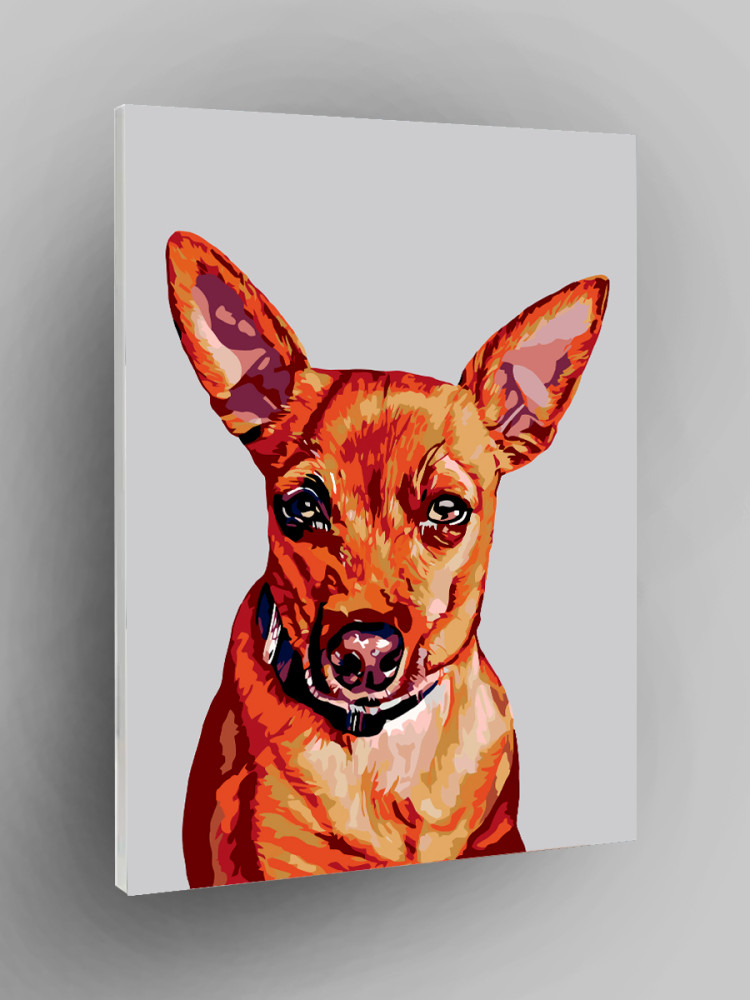 Pornografiya hojatxonada jinsiy aloqada bolgan