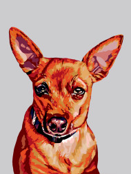 Raqamlar bo&#039;yicha rasm &quot;Chixuaxua&quot;