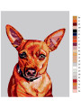 Картина по номерам &amp;quot;Чихуахуа&amp;quot;