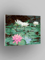 Картина по номерам &amp;quot;Цветущие кувшинки&amp;quot;