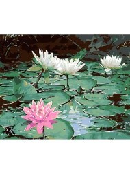 Картина по номерам &amp;quot;Цветущие кувшинки&amp;quot;