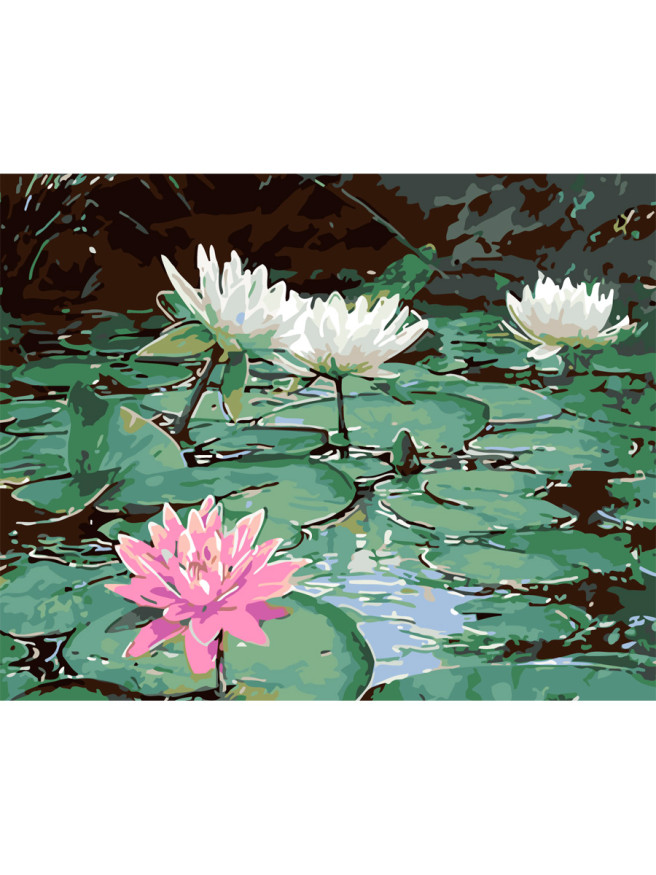 Картина по номерам &amp;quot;Цветущие кувшинки&amp;quot;