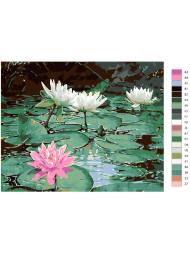 Картина по номерам &amp;quot;Цветущие кувшинки&amp;quot;