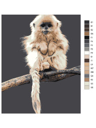 Картина по номерам &amp;quot;Обезьянка на ветке&amp;quot;