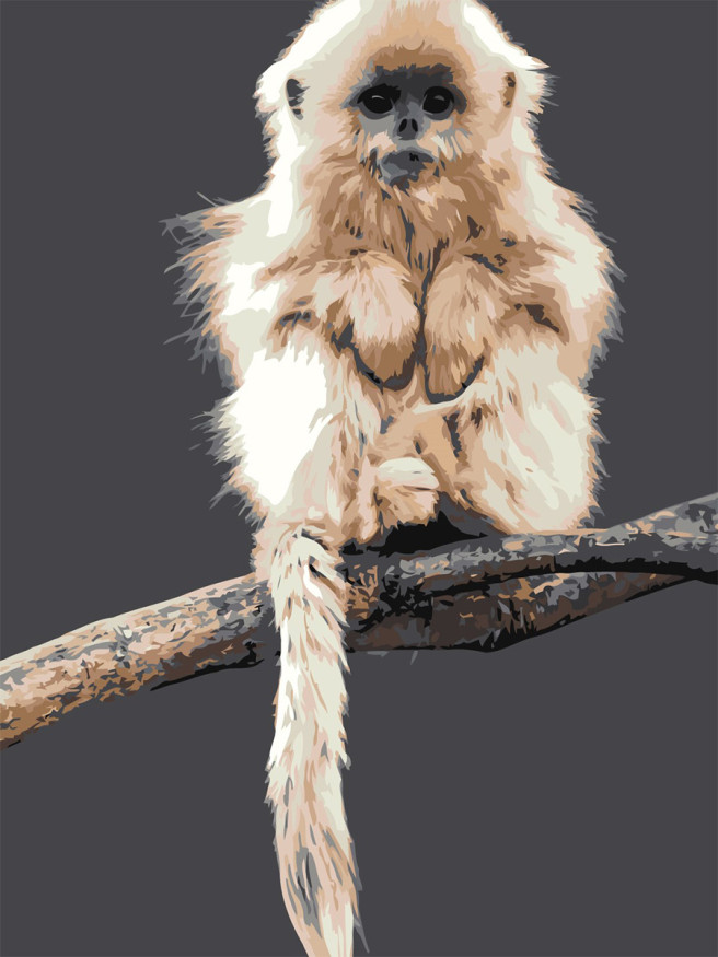 Raqamlar bo&amp;#039;yicha rasm &amp;quot;Filialdagi maymun&amp;quot;