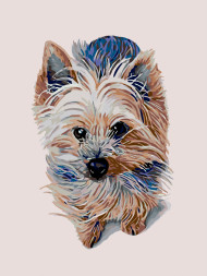 Raqamlar bo&#039;yicha rasm &quot;Fidel&quot;