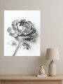 Постер на холсте &amp;quot;Серебряный пион&amp;quot;