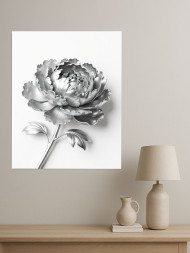 Постер на холсте &amp;quot;Серебряный пион&amp;quot;