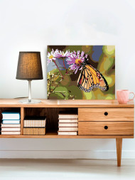 Картина по номерам "Бабочка"