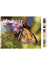 Картина по номерам "Бабочка"