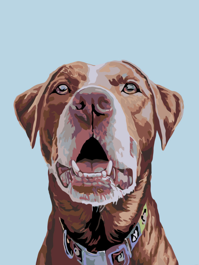 Raqamlar bo&amp;#039;yicha rasm &amp;quot;Kuchuk rasmi&amp;quot;