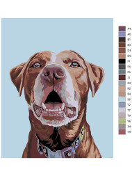 Raqamlar bo&#039;yicha rasm &quot;Kuchuk rasmi&quot;