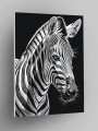 Raqamlar bo&amp;#039;yicha rasm &amp;quot;Zebra&amp;quot;