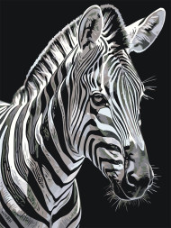 Raqamlar bo'yicha rasm "Zebra"