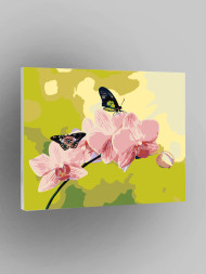 Картина по номерам "Розовые орхидеи"