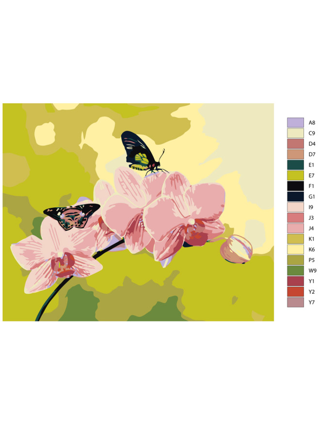 Картина по номерам &amp;quot;Розовые орхидеи&amp;quot;