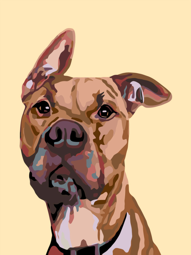 Raqamlar bo&amp;#039;yicha rasm &amp;quot;Kuchuk rasmi&amp;quot;