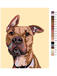 Raqamlar bo&#039;yicha rasm &quot;Kuchuk rasmi&quot;