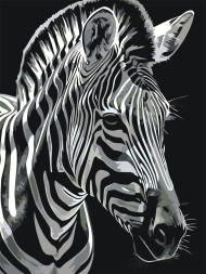 Raqamlar bo'yicha rasm "Yelli zebra"