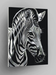 Raqamlar bo'yicha rasm "Yelli zebra"