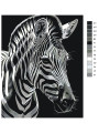 Raqamlar bo&amp;#039;yicha rasm &amp;quot;Yelli zebra&amp;quot;