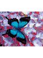 Картина по номерам &amp;quot;Бабочка на цветках&amp;quot;