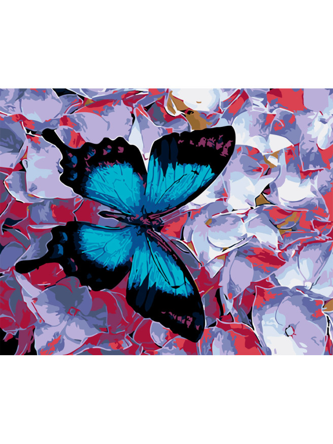 Картина по номерам &amp;quot;Бабочка на цветках&amp;quot;
