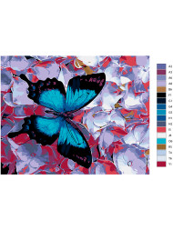 Картина по номерам "Бабочка на цветках"