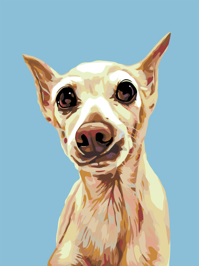 Картина по номерам &amp;quot;Портрет собаки&amp;quot;