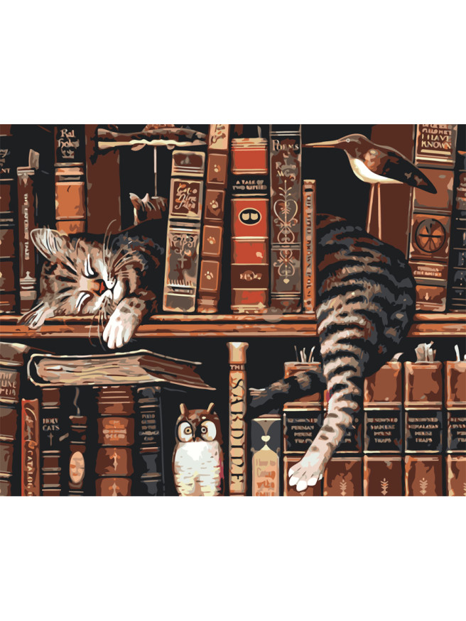 Картина по номерам &amp;quot;Кот-библиотекарь&amp;quot;
