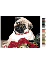 Raqamlar bo&#039;yicha rasm &quot;Atirgulli it&quot;