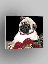 Raqamlar bo&#039;yicha rasm &quot;Atirgulli it&quot;