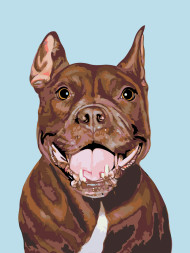 Raqamlar bo&#039;yicha rasm &quot;Kuchuk rasmi&quot;